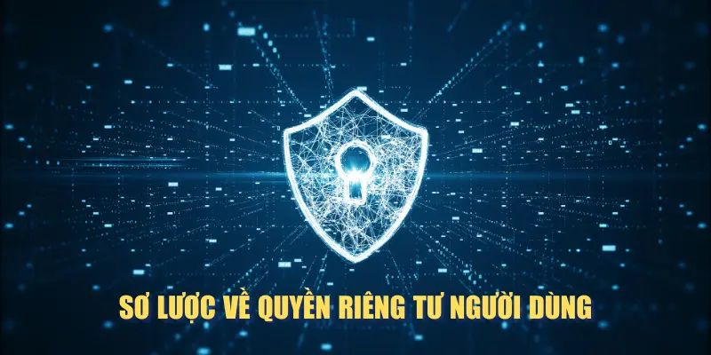 Sơ lược về quyền riêng tư người dùng